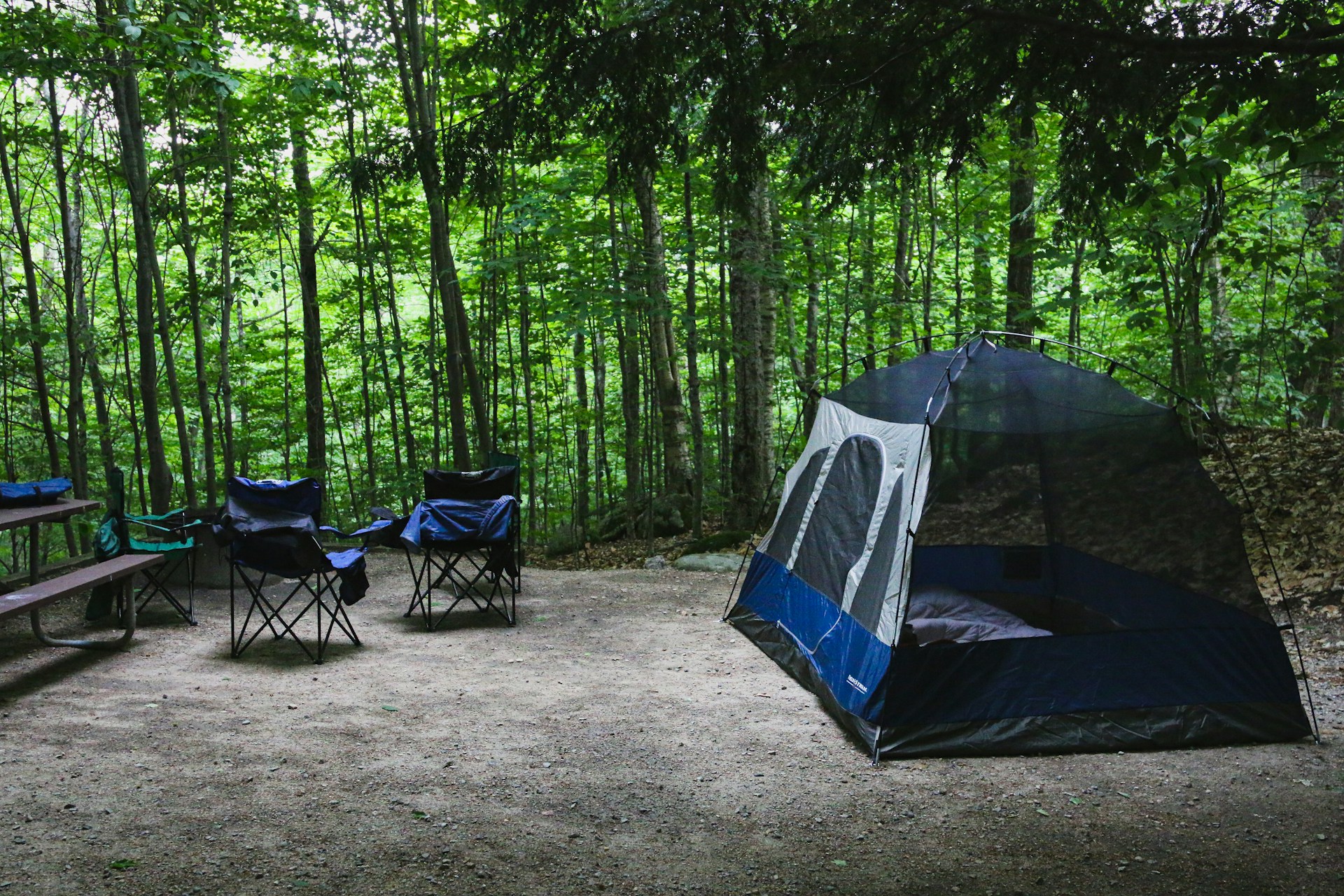 Sendero 4 Family Tent